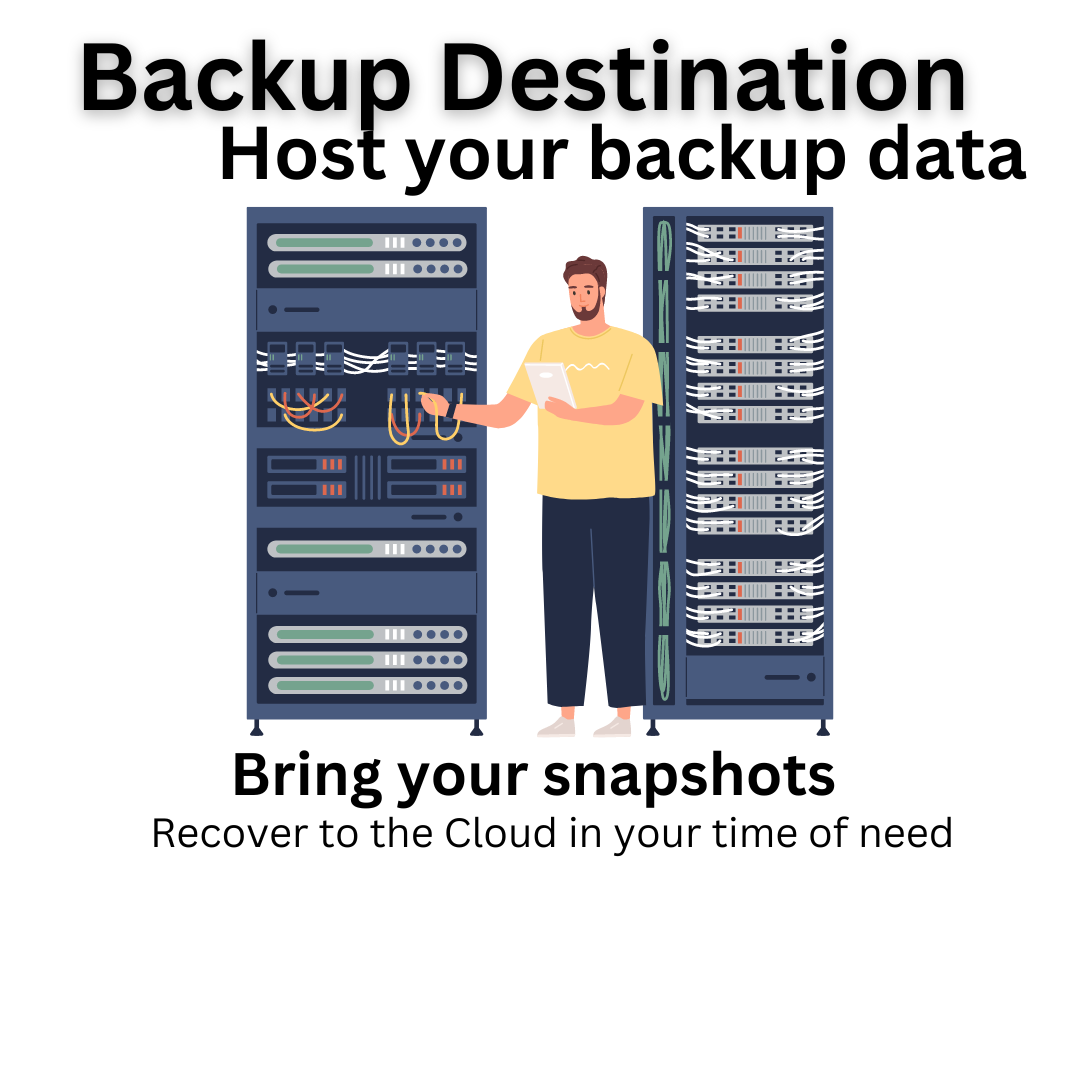 Illustration of a person with a tablet next to server racks with text about backup data.